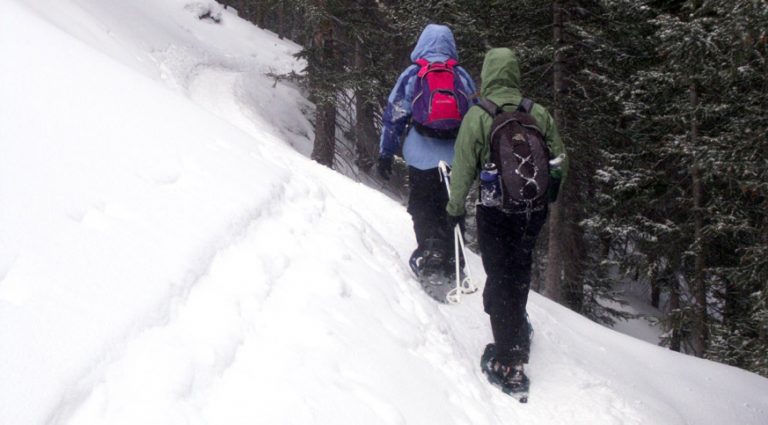 people snowshoeing